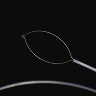 အသားတင်အမျိုးအစားနိုင်ငံခြားခန္ဓာကိုယ် forceps